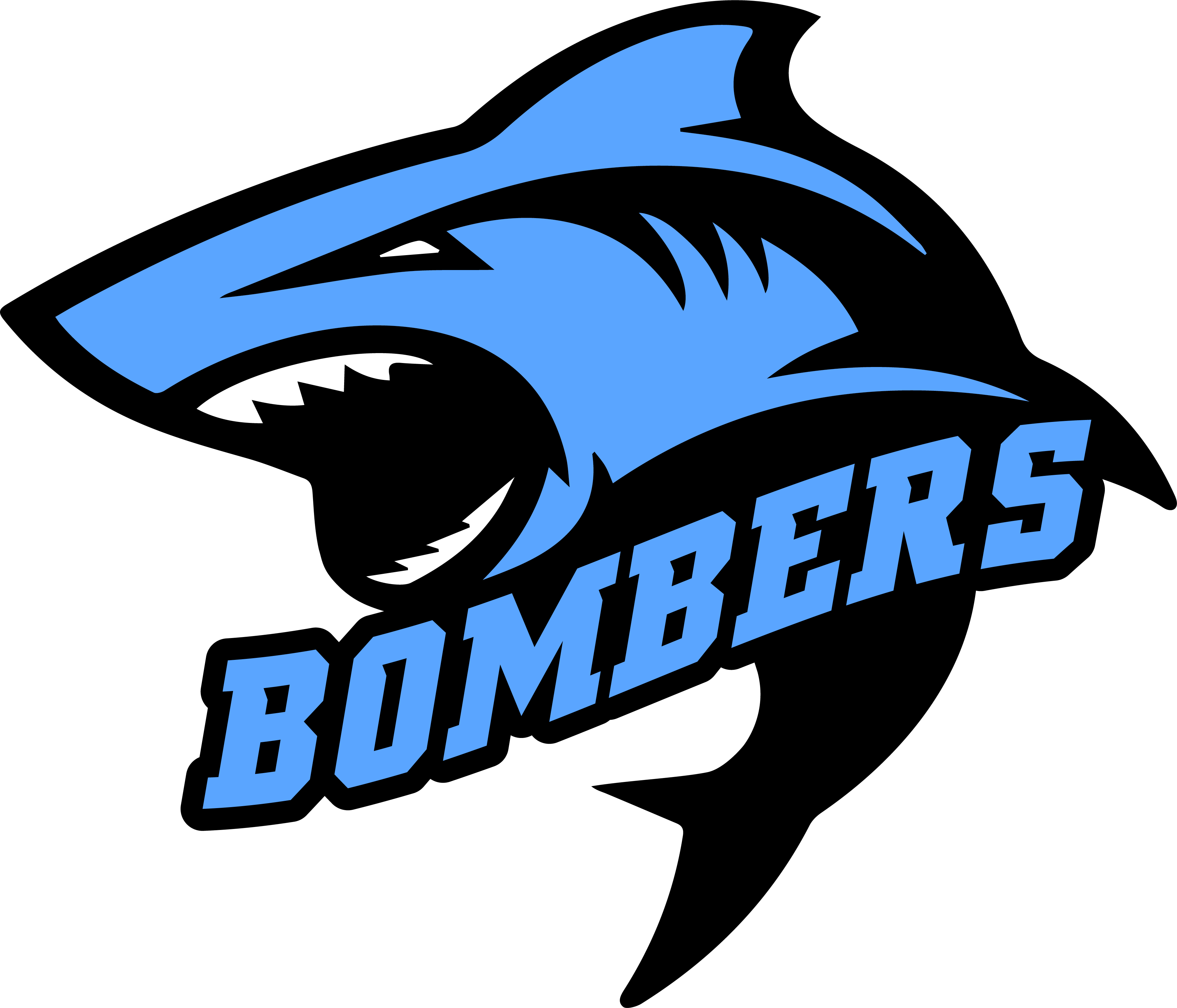 National Championship Sports Fastpitch BOMBERS CTX Weber 12u 12U C